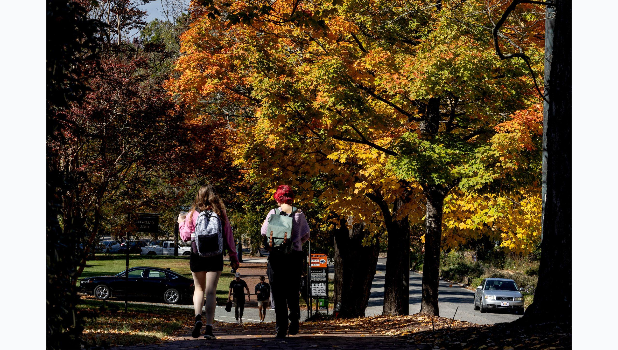 Two students walking on a brick pathway on the campus of UNC-Chapel Hill. Trees with yellow, orange and green leaves are seen in the horizon.